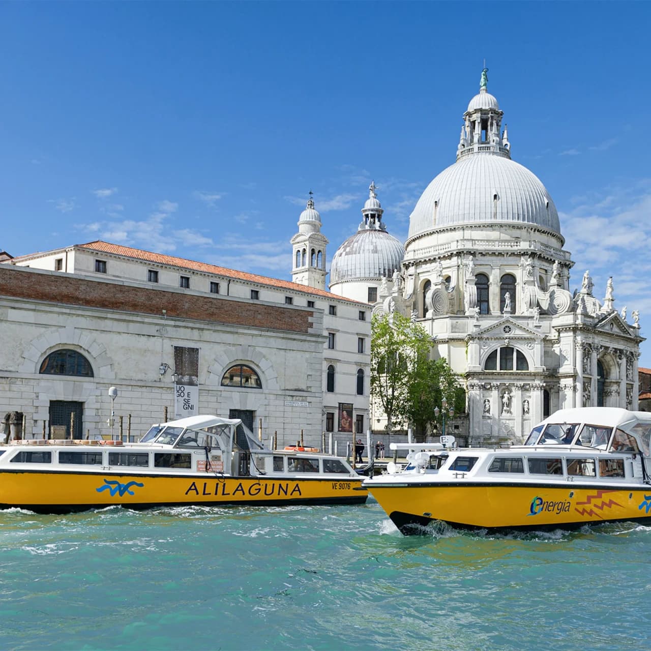 Venice Marco Polo Airport Alilaguna Waterbus Transfers - სურათი 2