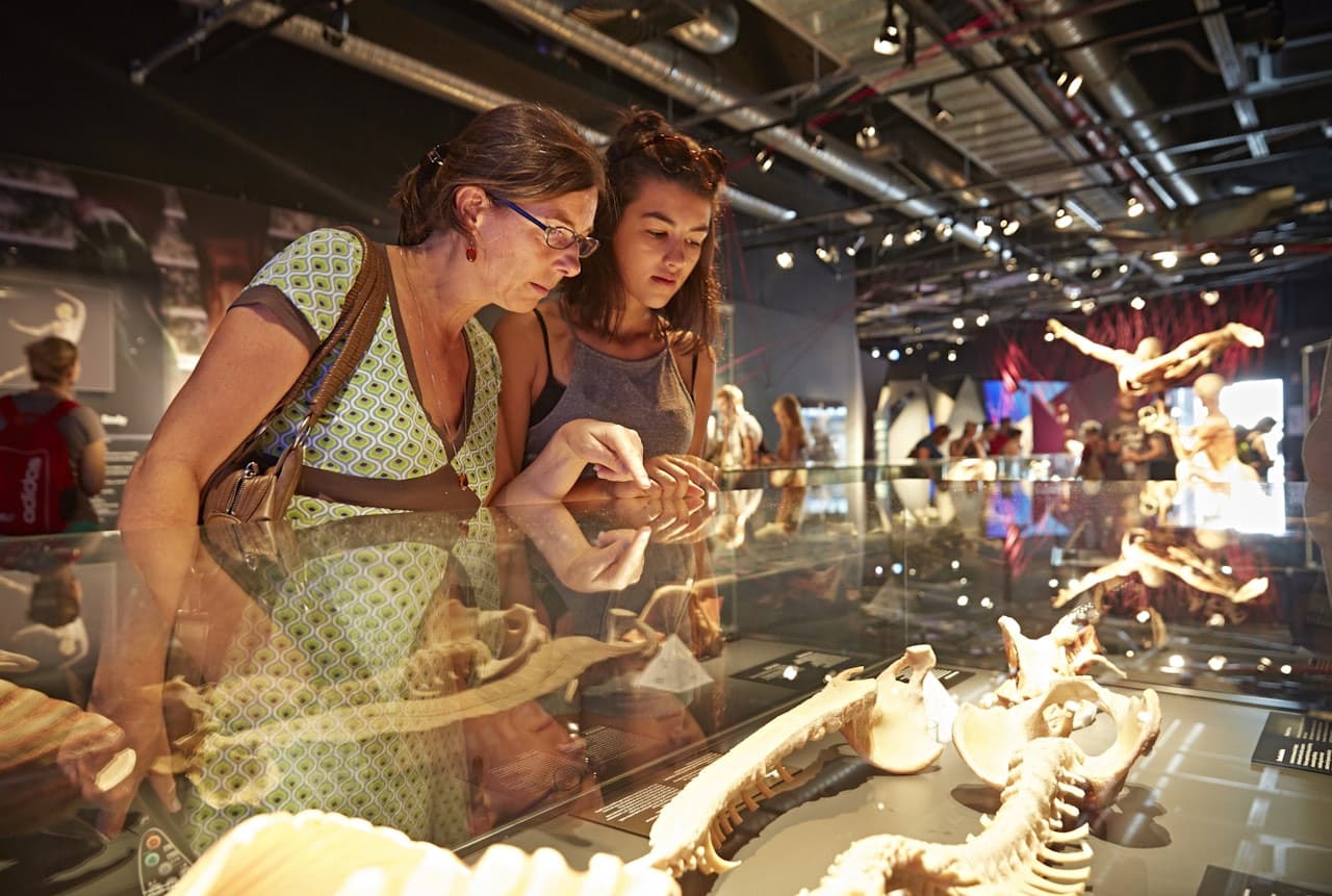 BODY WORLDS Berlin - სურათი 2