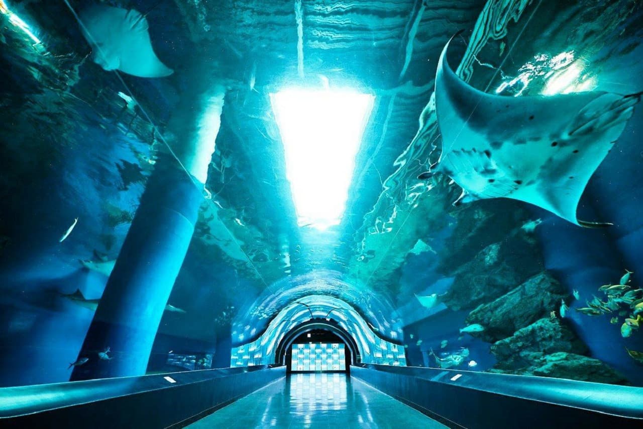 Maxell Aqua Park Shinagawa - სურათი 4