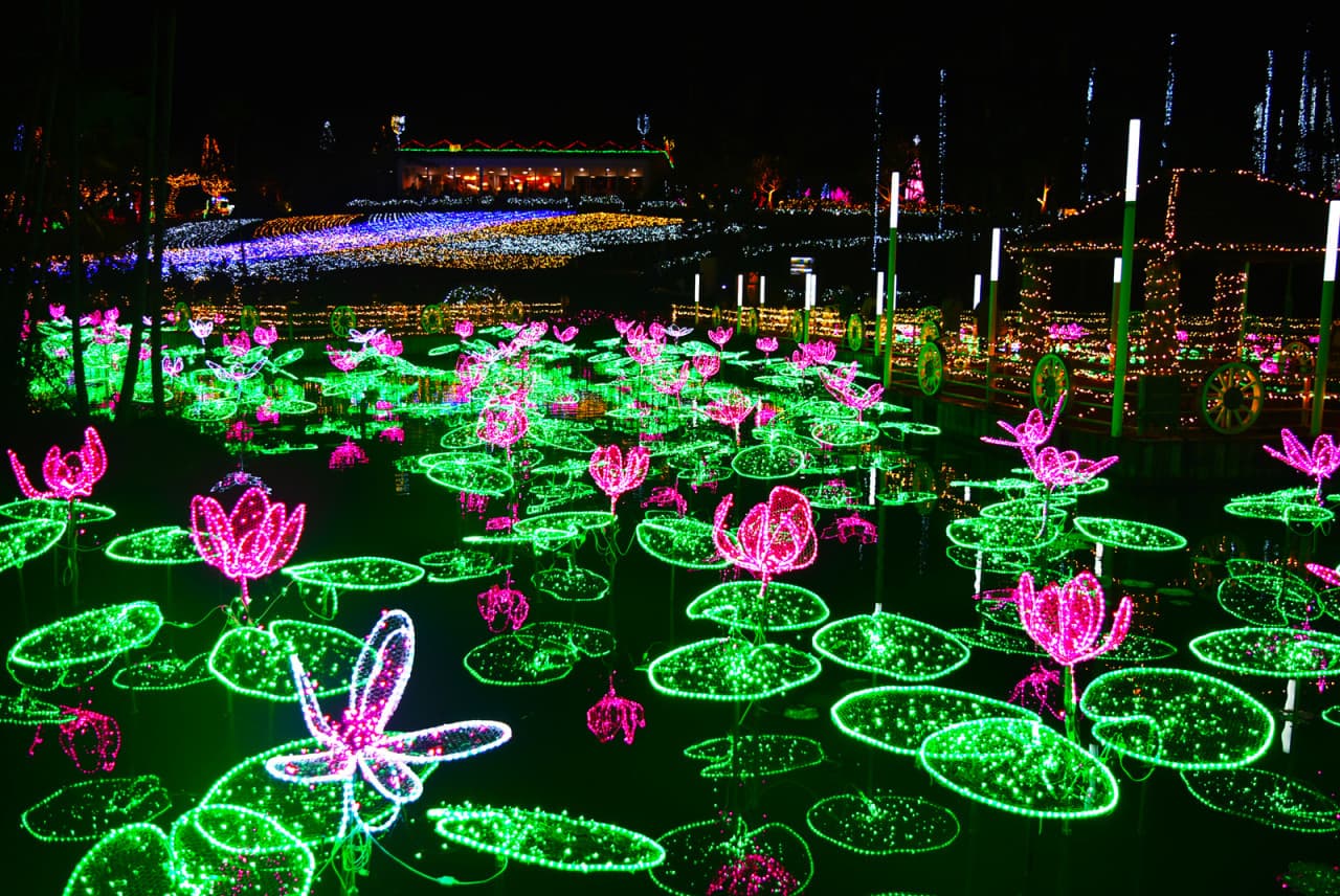 Okinawa Southeast Botanical Gardens - სურათი 16