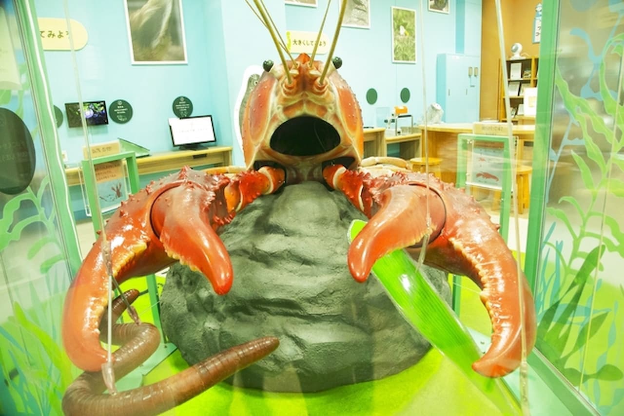 Lake Biwa Museum Ticket - სურათი 2
