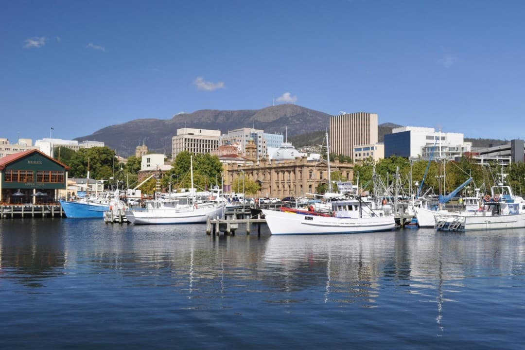 Mount Wellington and Hobart City Tour - სურათი 6