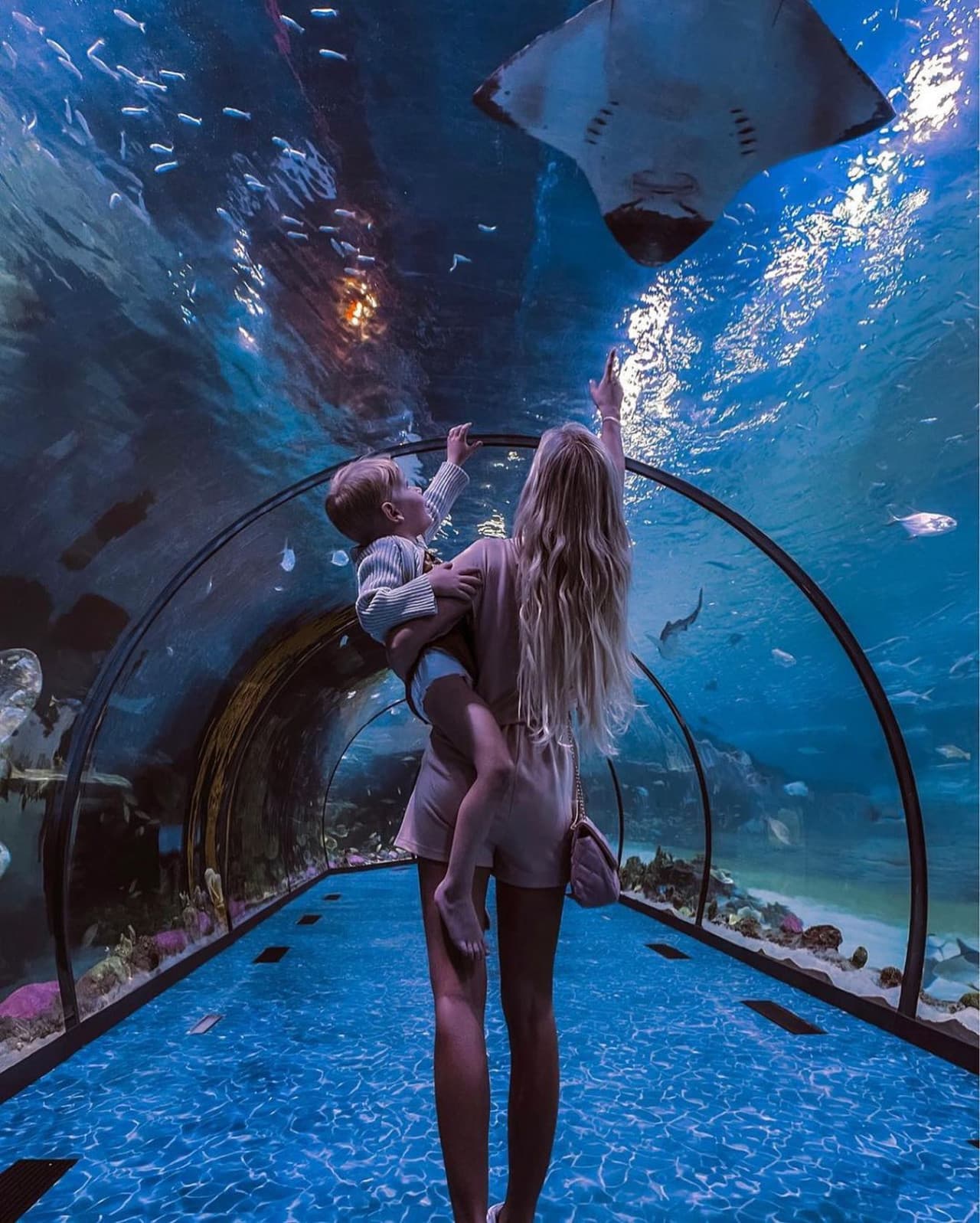 The National Aquarium Abu Dhabi Ticket - სურათი 15
