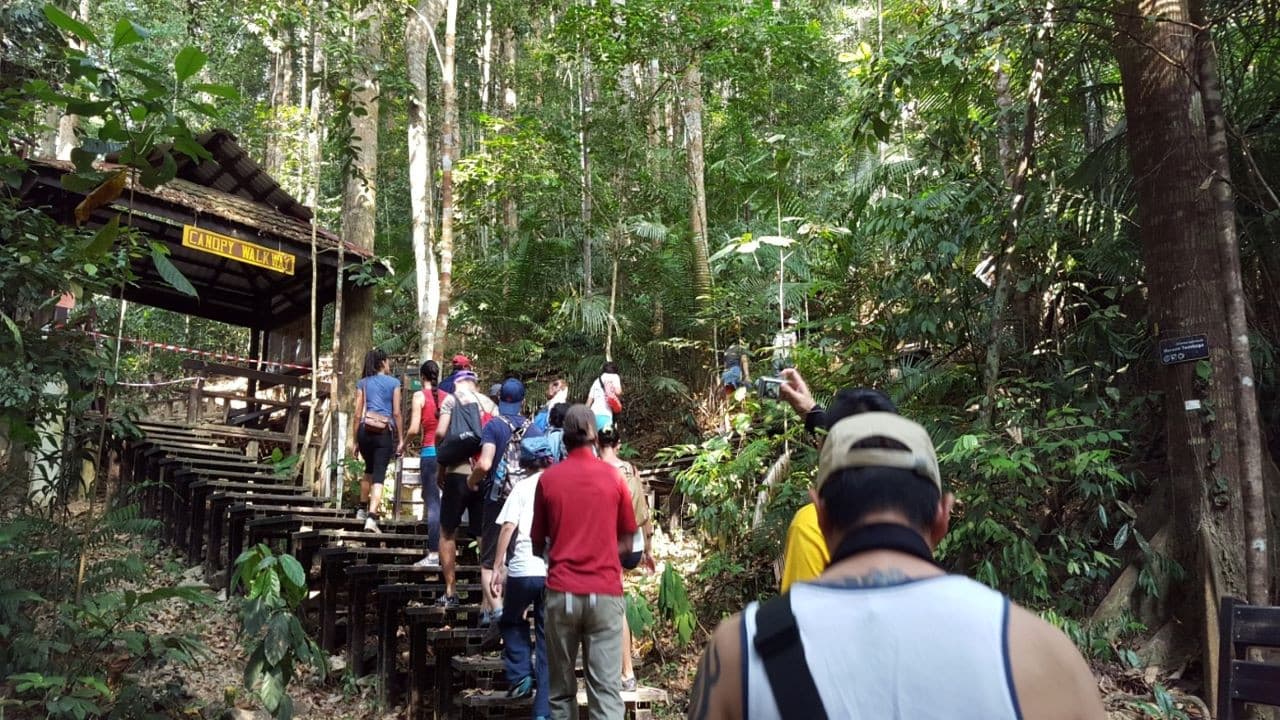 Taman Negara National Park Tour from Kuala Lumpur - სურათი 3