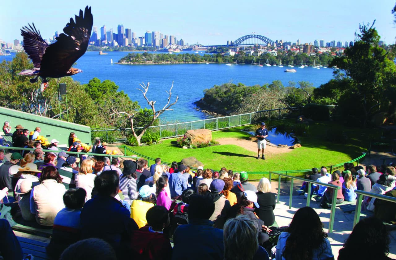 Captain Cook Sydney Harbour Explorer Hop-on Hop-off Cruise - სურათი 7
