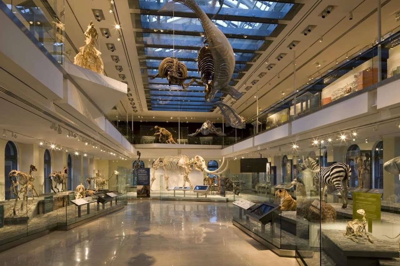 Natural History Museum of Los Angeles County - მთავარი სურათი