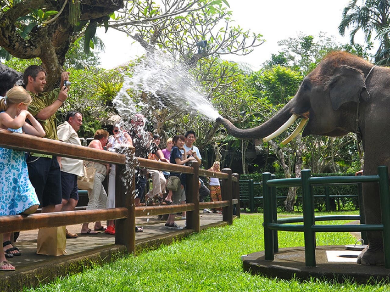 Mason Elephant Park Bali by Mason Adventures (Formerly known as Elephant Safari Park) - სურათი 6