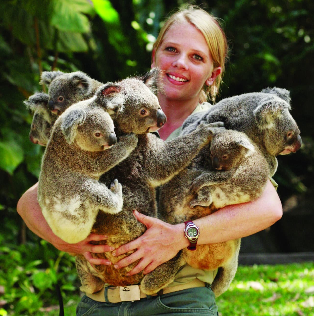 Kuranda Koala Gardens - სურათი 7