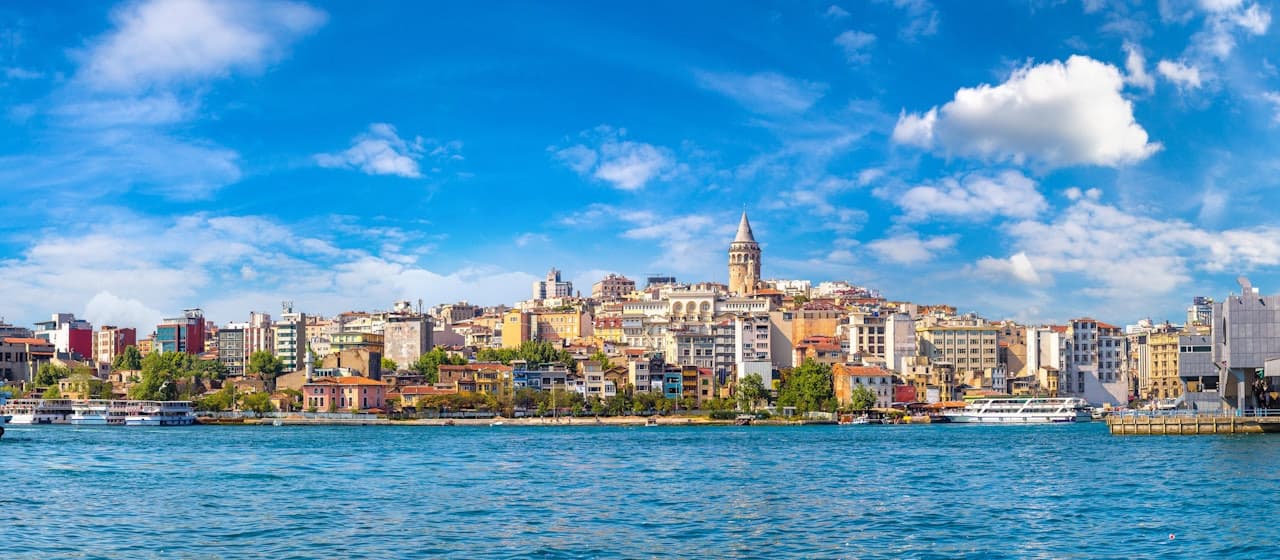 Golden Horn Sightseeing Bus Tour and Bosphorus Cruise - სურათი 2