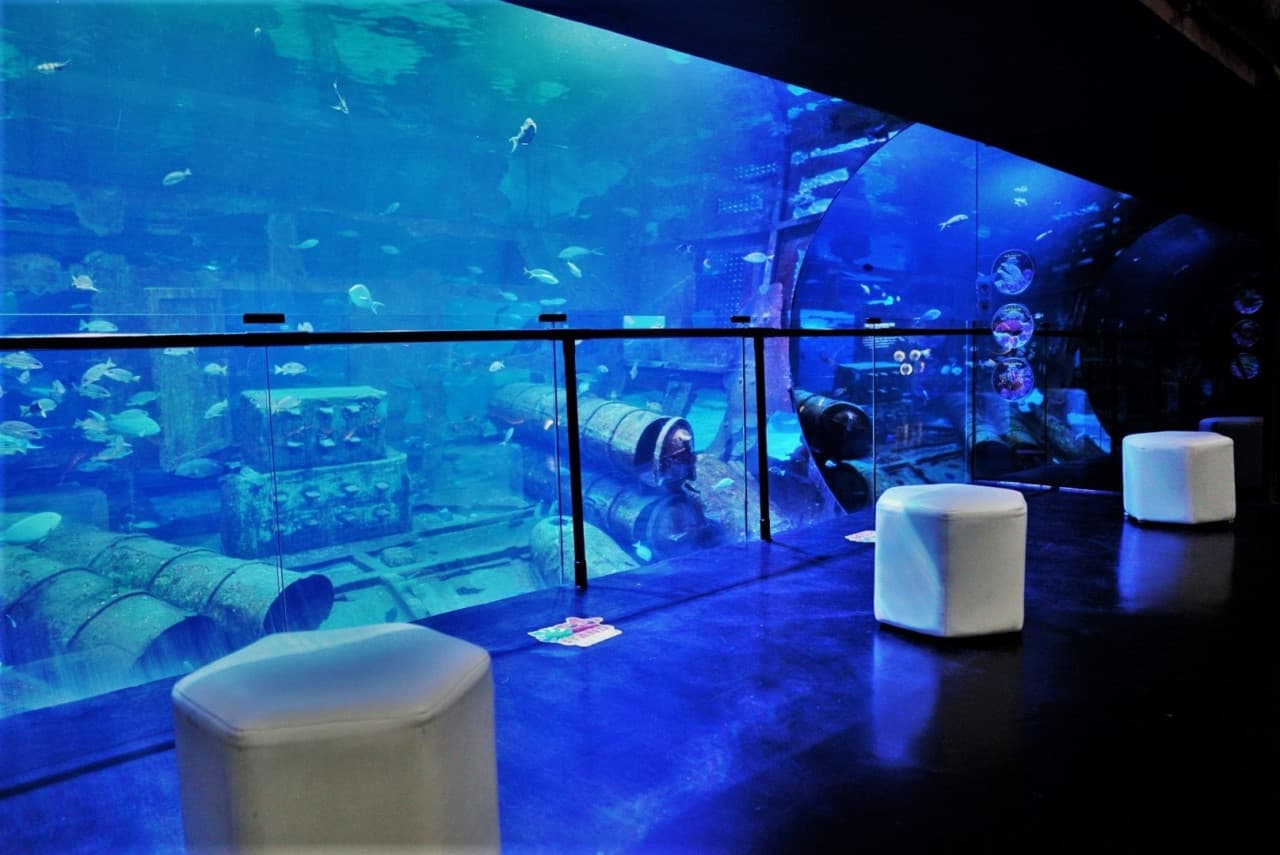 Aquaria Phuket - სურათი 6