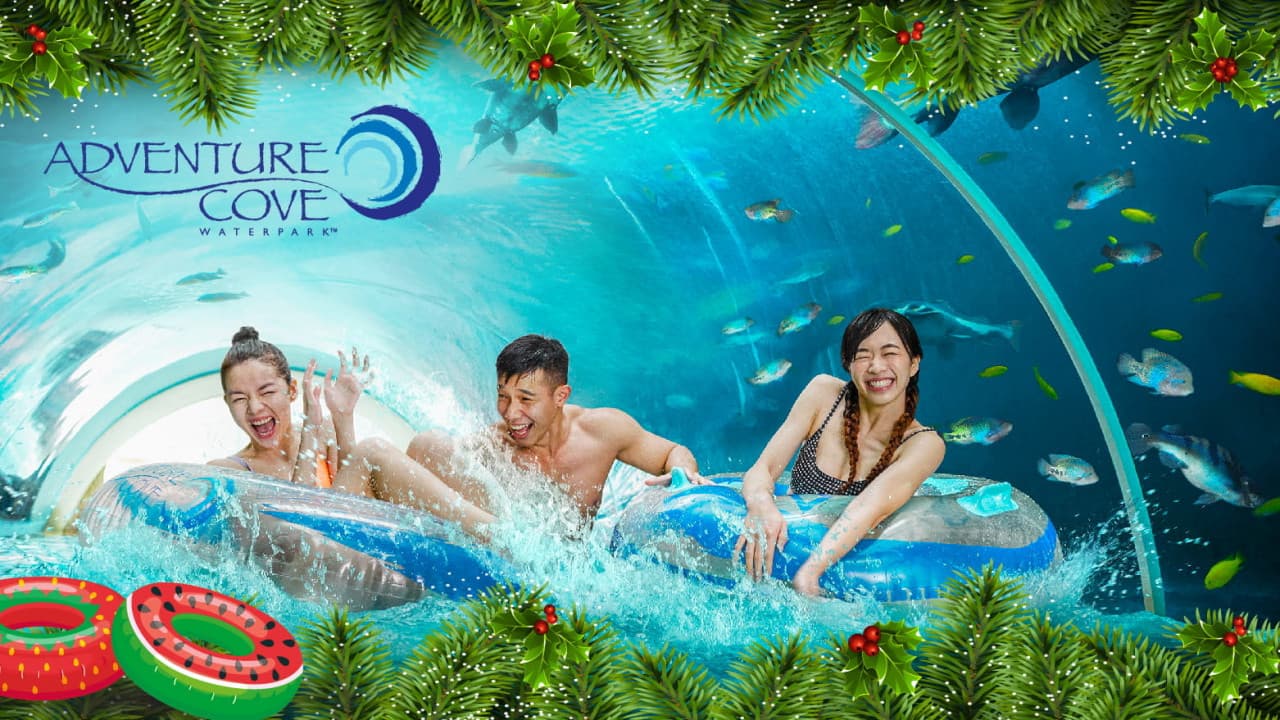 COMBO: Universal Studios Singapore + Adventure Cove Waterpark Tickets - სურათი 6