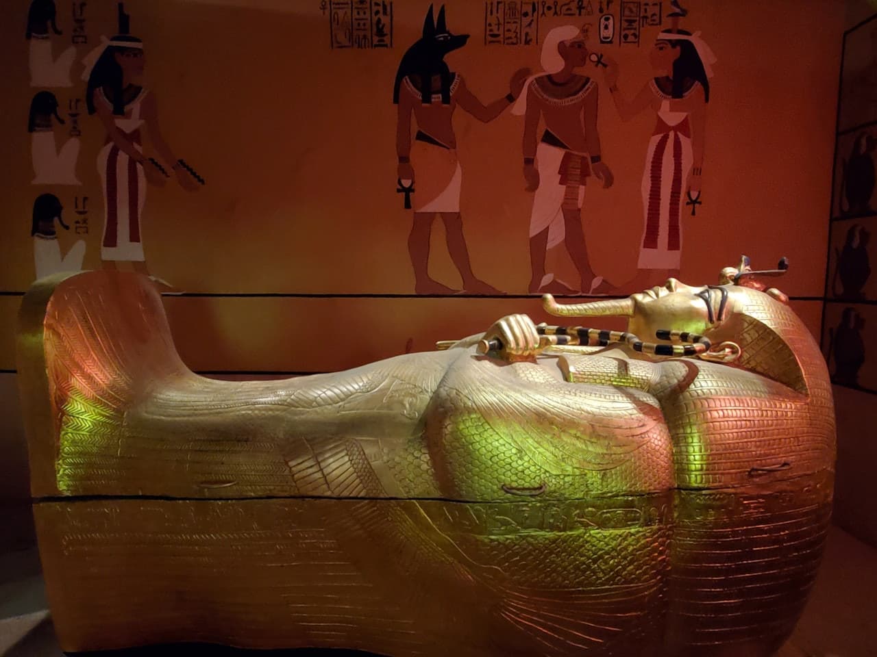 Las Vegas Natural History Museum - სურათი 2