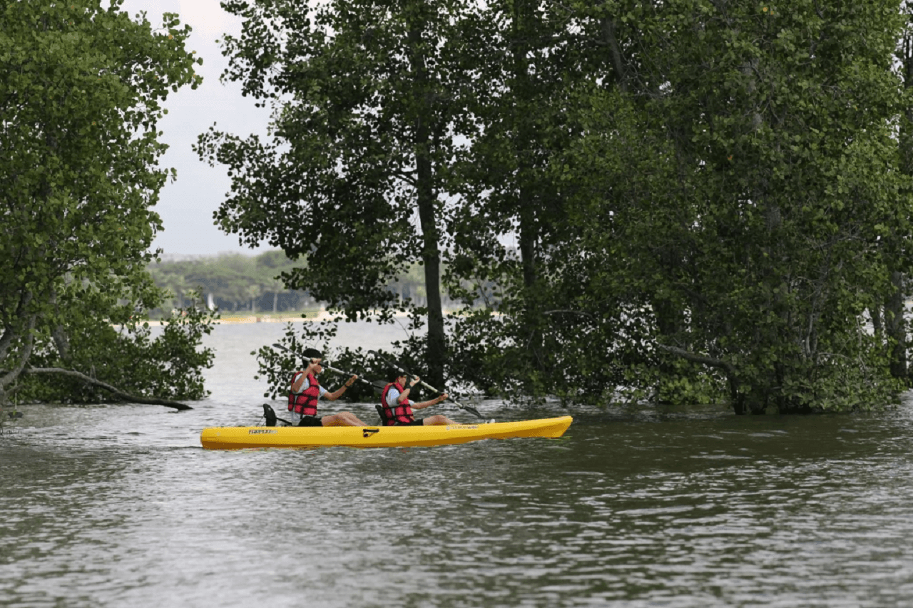 Pulau Ubin Kayaking - სურათი 24