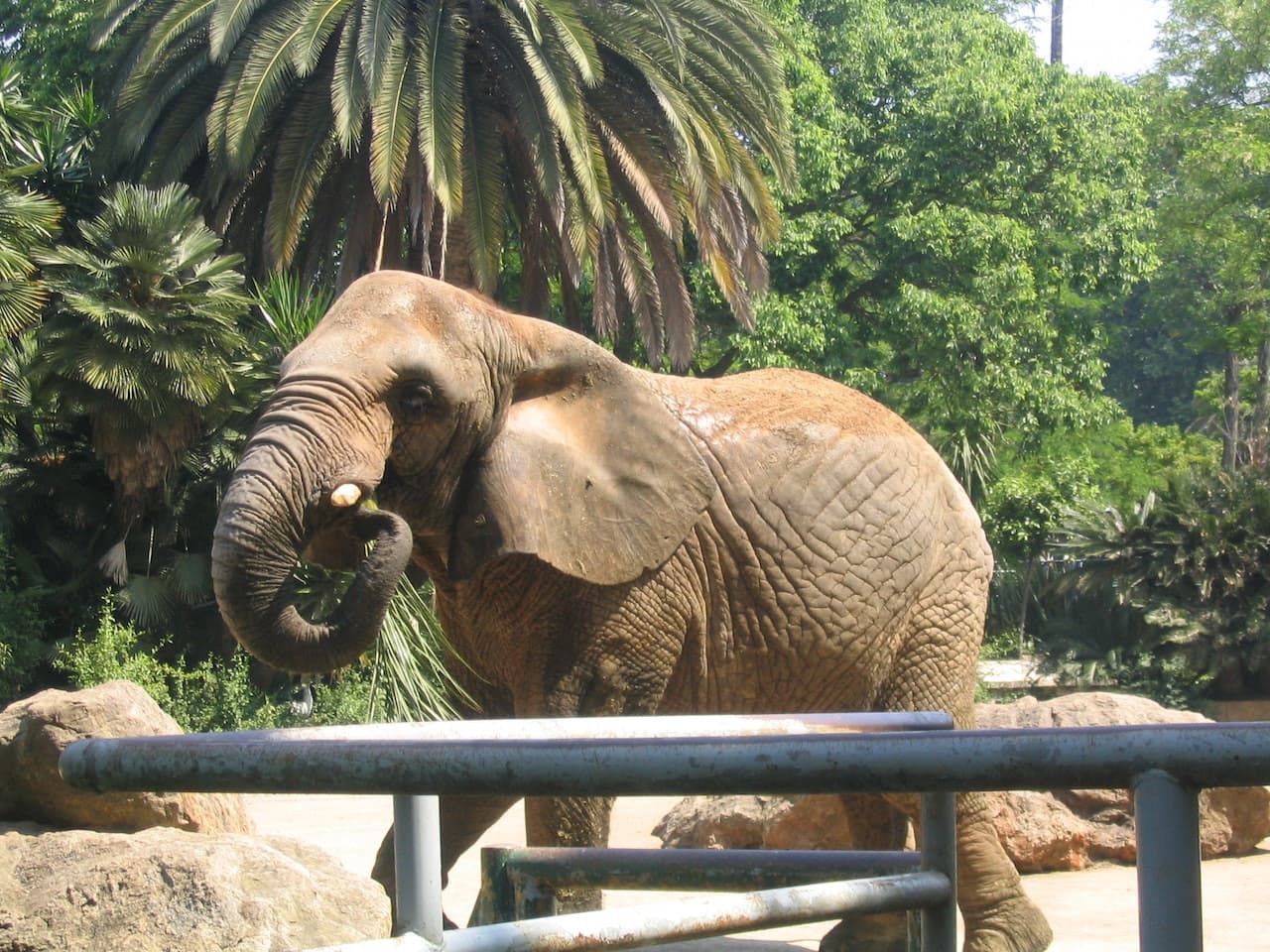 Barcelona Zoo - სურათი 8