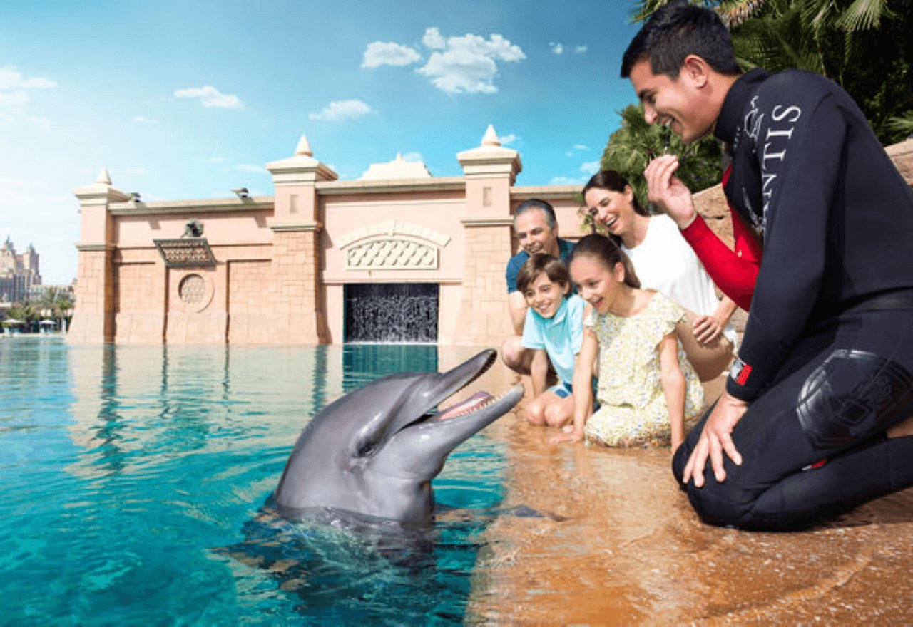 Atlantis Aquaventure World Dubai - Dolphin and Sea Lion Experiences at Atlas Village - სურათი 2