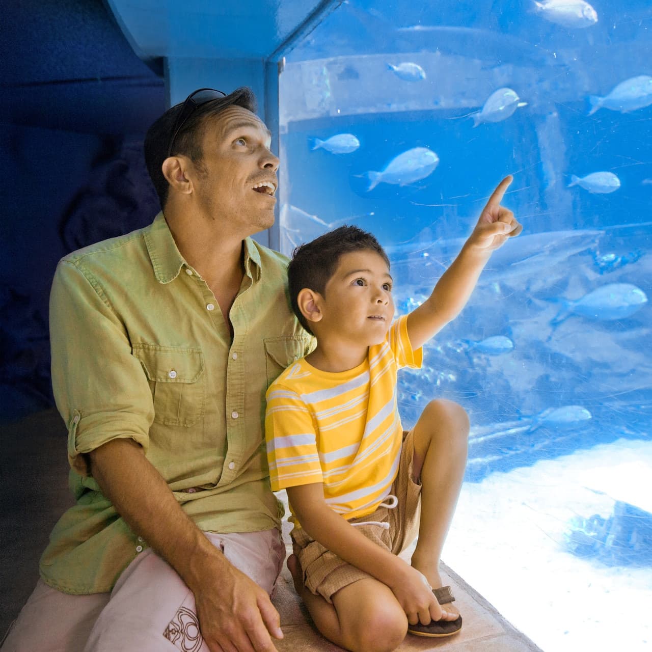 Sea Life Park Hawaii - სურათი 5