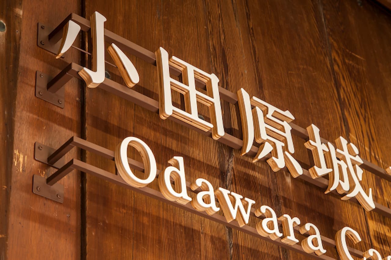 Odawara Castle Ticket - სურათი 4