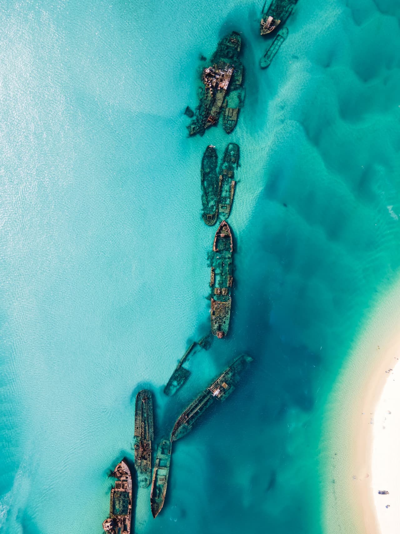 Moreton Island 1-Day Adventure Tour with Kayaking and Sandboarding - სურათი 5