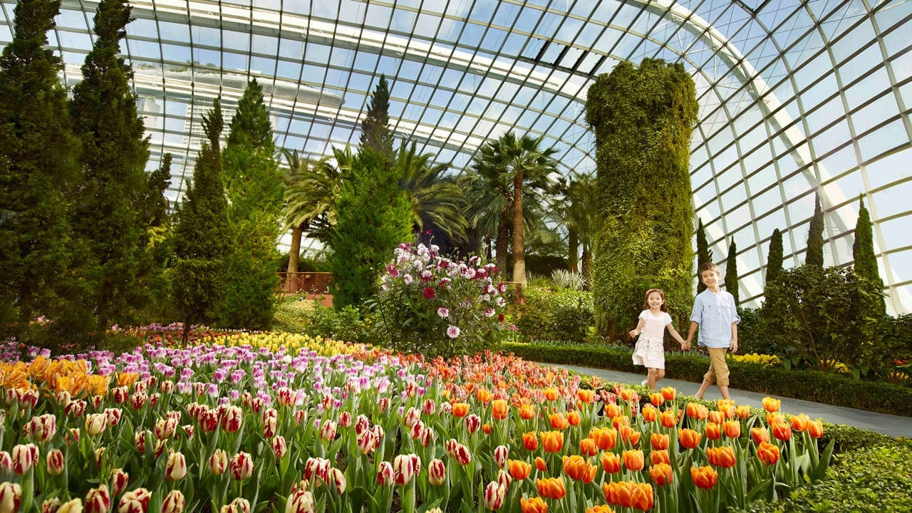 COMBO: Gardens by the Bay + Marina Bay Sands SkyPark Observation Deck + ArtScience Museum Tickets - სურათი 4