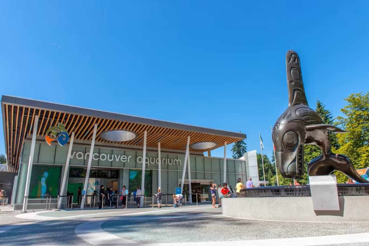 Vancouver Aquarium Ticket - სურათი 2