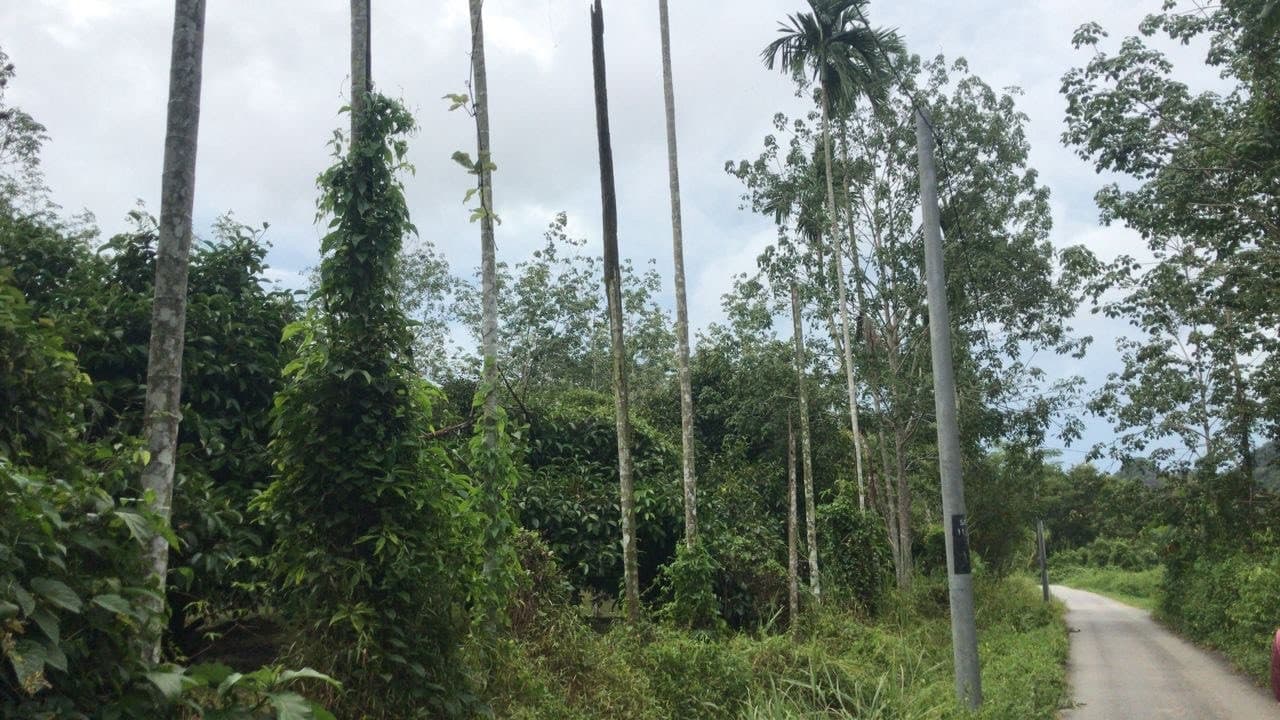 Langkawi Countryside Biking Tour - სურათი 5