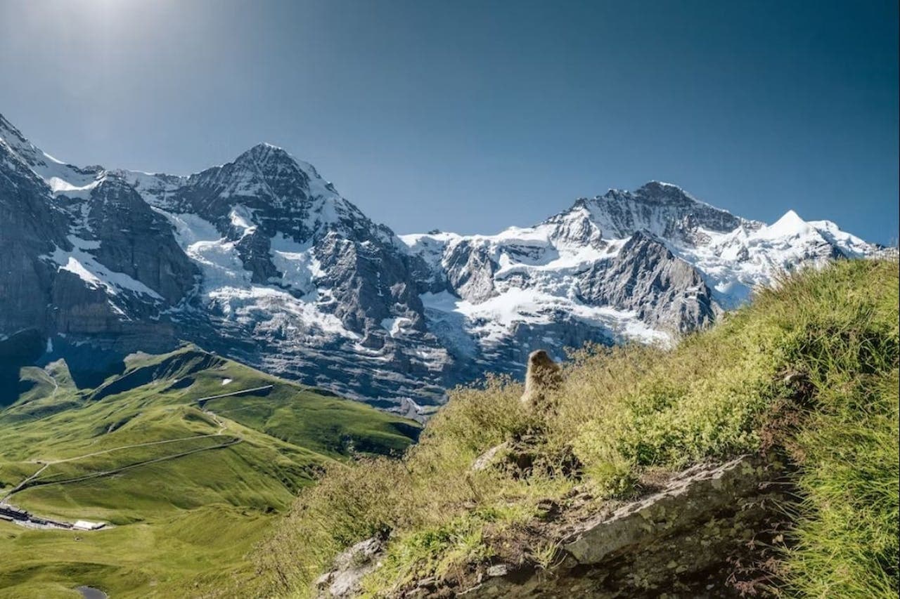 Jungfraujoch: Roundtrip Train from Grindelwald - სურათი 5