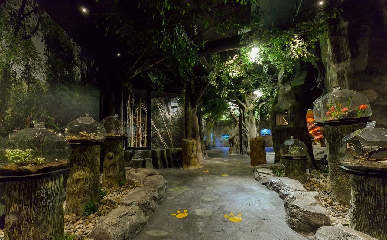 Entopia by Penang Butterfly Farm Ticket - სურათი 9