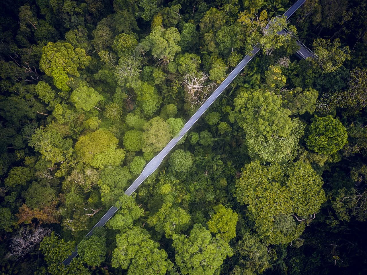 The Habitat Penang Hill Ticket - სურათი 4