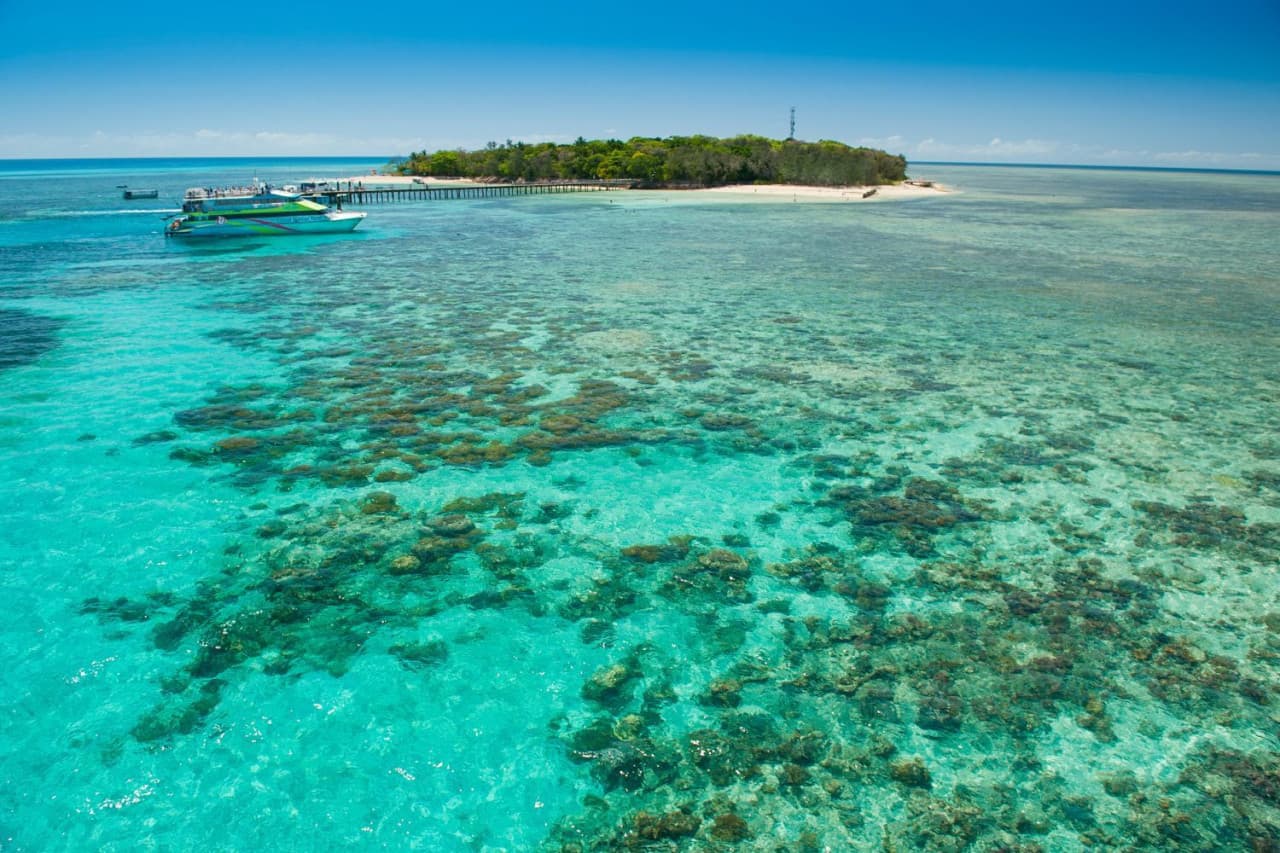Green Island Reef Full-Day Cruise - სურათი 5