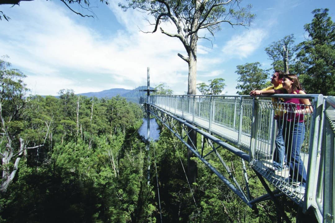 Huon Valley Tour - სურათი 2