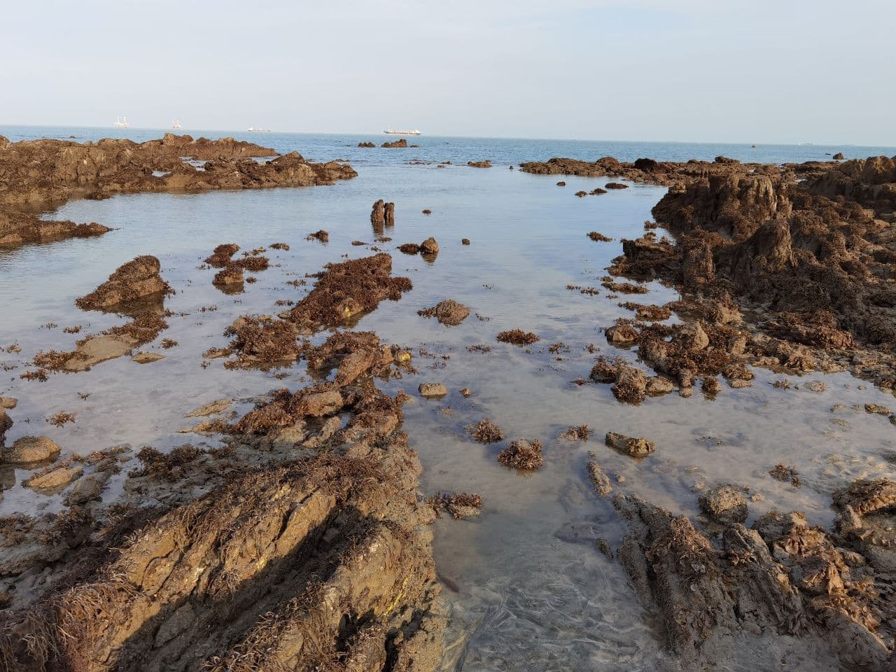 Desaru Beach and Tide Pool Walk - სურათი 4