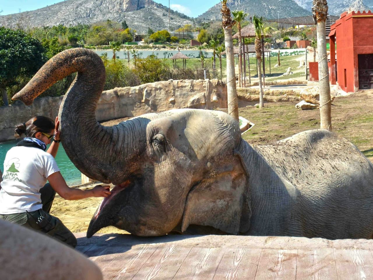 Terra Natura Benidorm: Entry Ticket - სურათი 2
