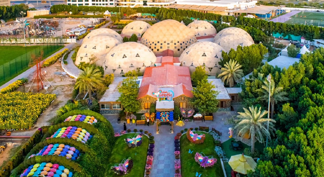 Dubai Butterfly Garden - სურათი 4