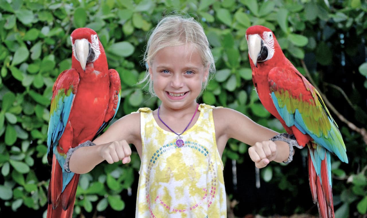Go City Miami All-Inclusive Pass: Save up to 50% on Attractions - სურათი 28