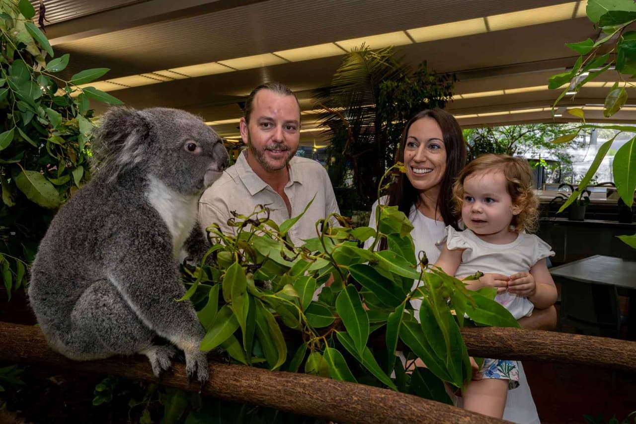 Wildlife Habitat Port Douglas Ticket - მთავარი სურათი