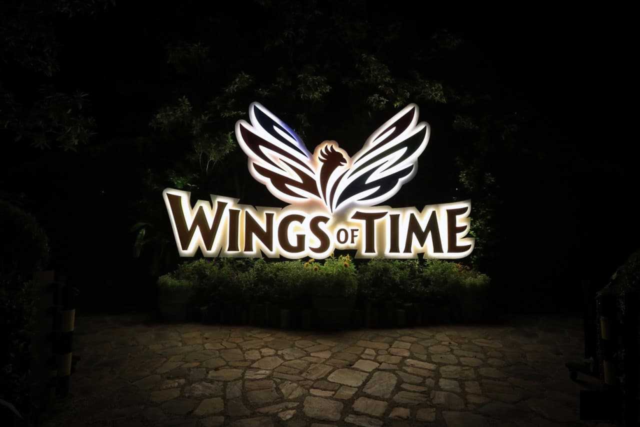 Wings of Time Fireworks Symphony Ticket - სურათი 13