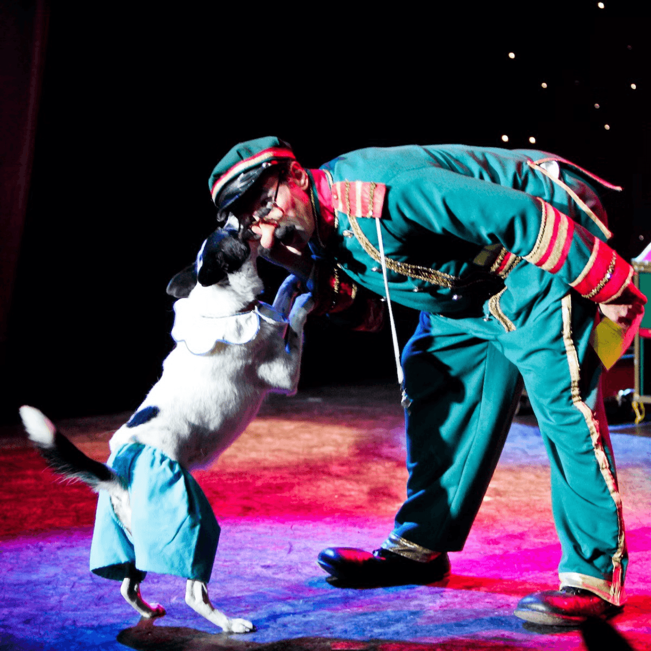 V Theatre Las Vegas - Popovich Comedy Pet Theatre - სურათი 2