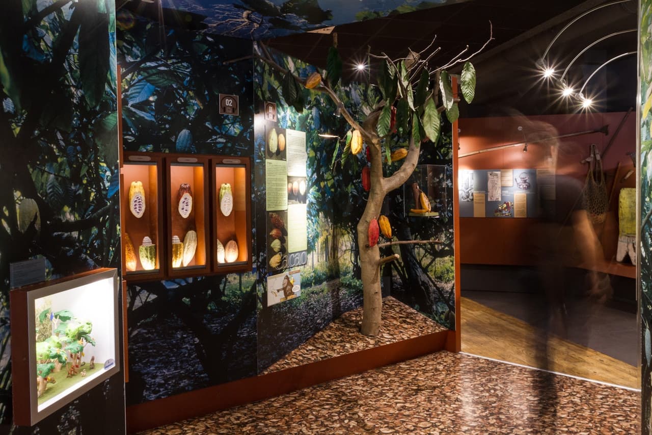 Chocolate Museum – Choco-Story Paris - სურათი 5