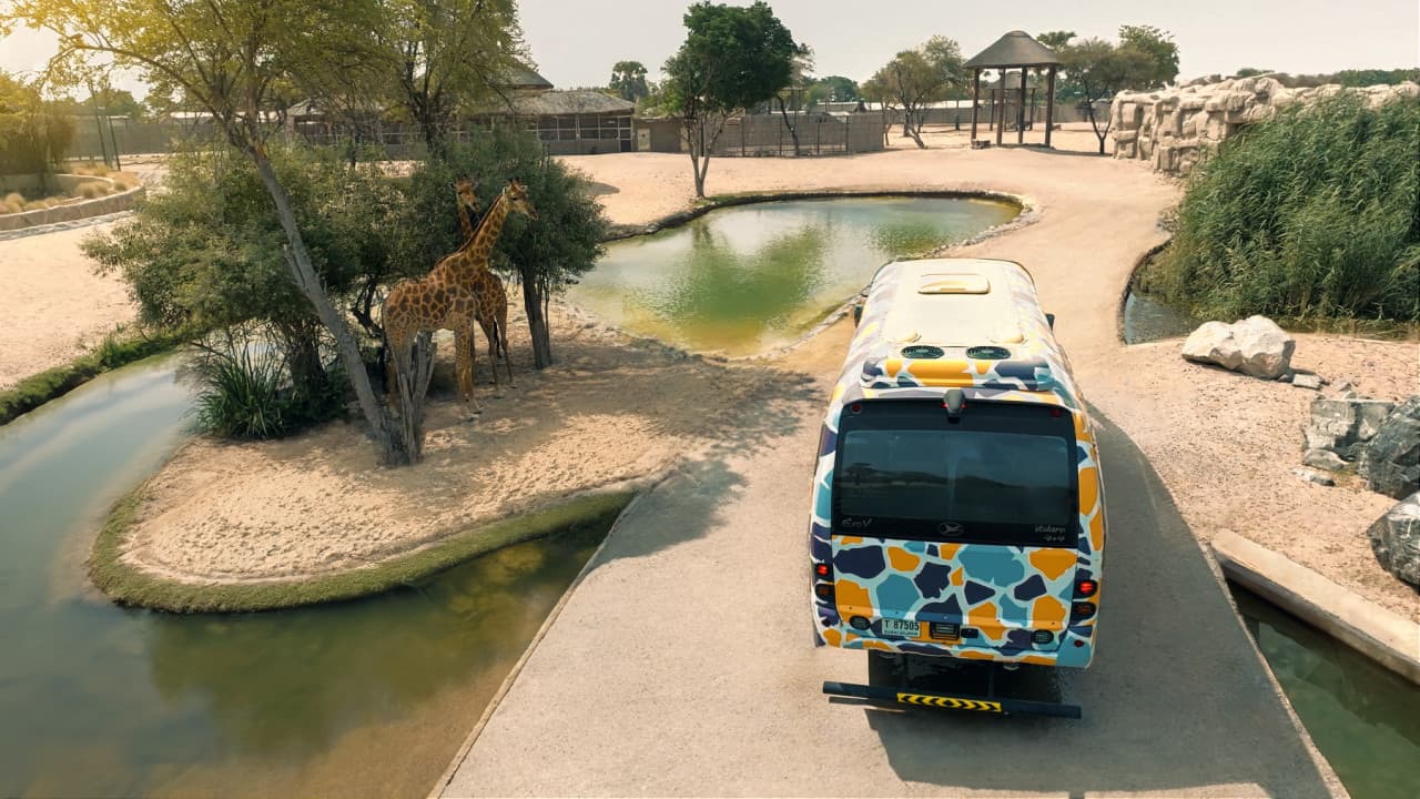 Dubai Safari Park Ticket - სურათი 28