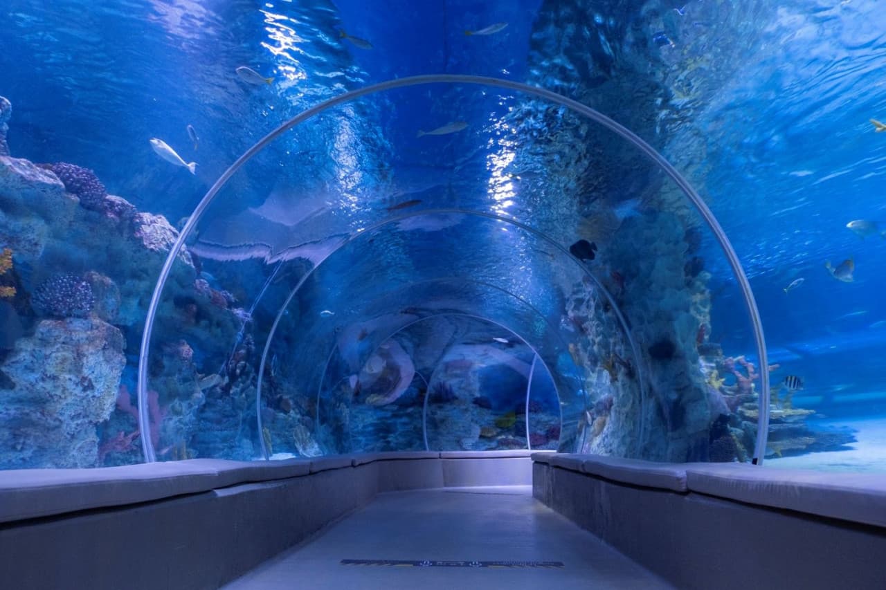 Emaar Aquarium and Underwater Zoo Ticket - სურათი 5