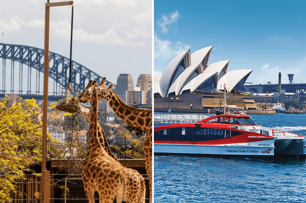 Taronga Zoo Ticket with Optional Round Trip Ferry - მთავარი სურათი