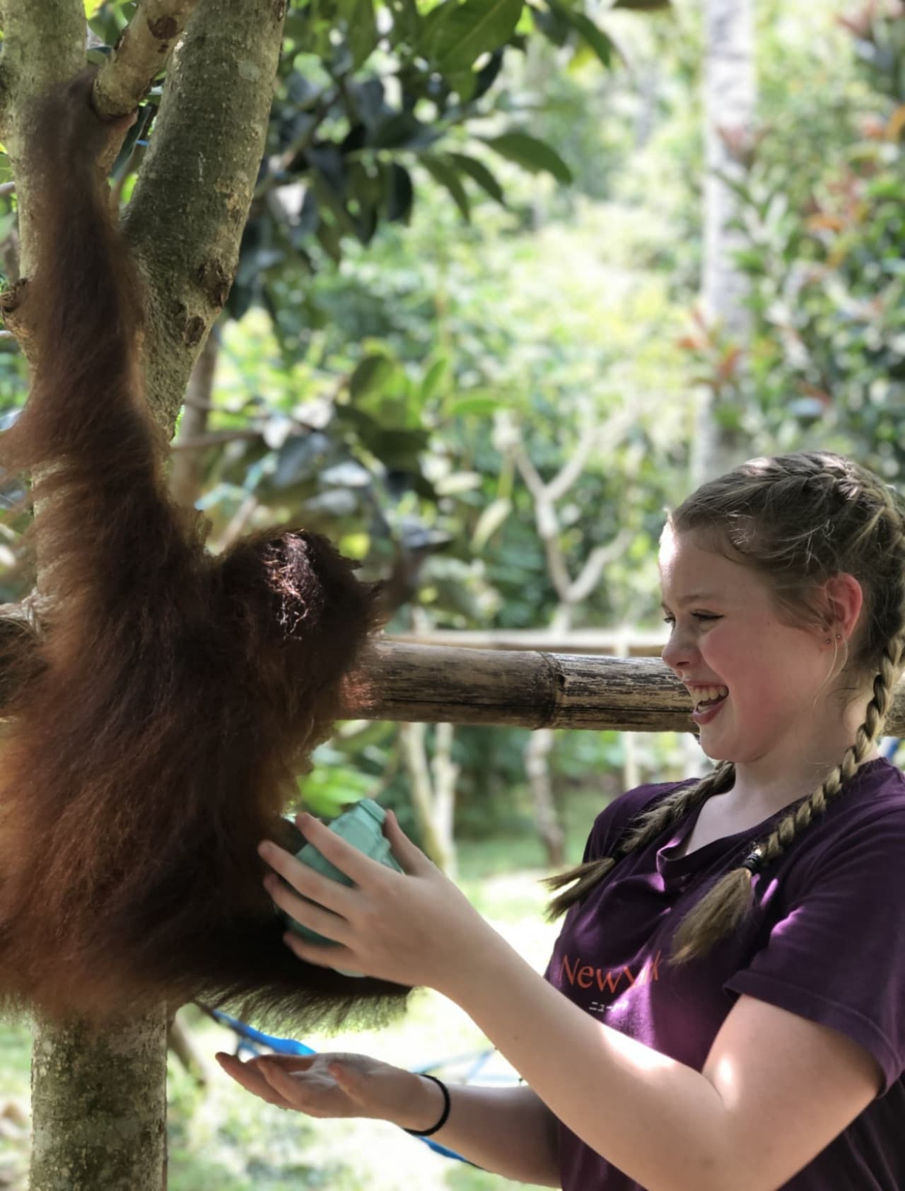 Lombok Wildlife Park - სურათი 6