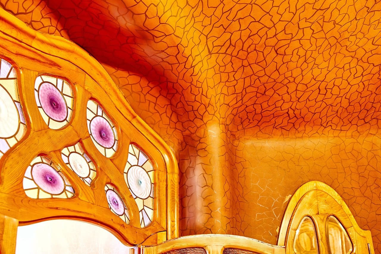 Casa Batllo Ticket - სურათი 9