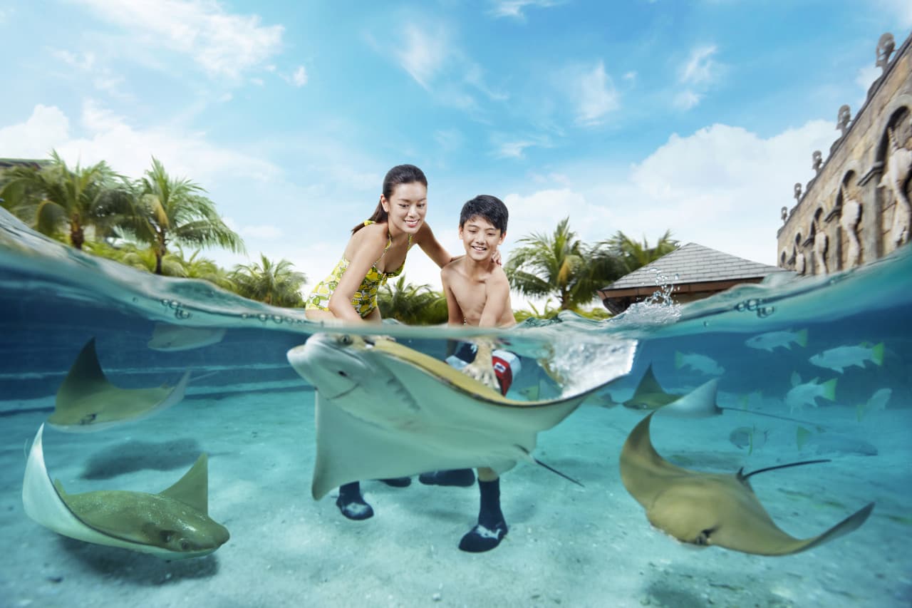 Adventure Cove Waterpark‎ Express Pass - სურათი 3