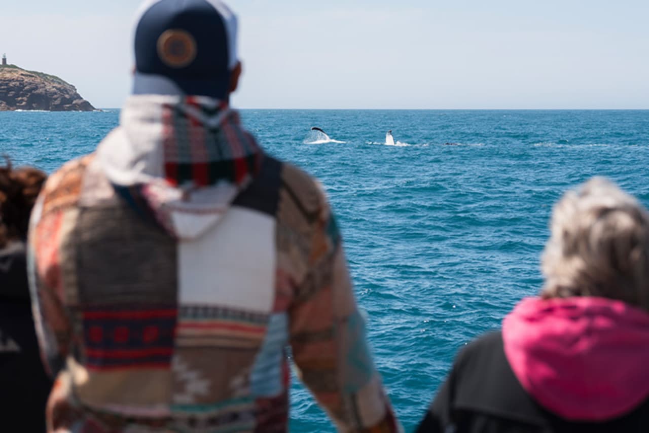 Wilsons Promontory Whale Watching Sightseeing Cruise - სურათი 6