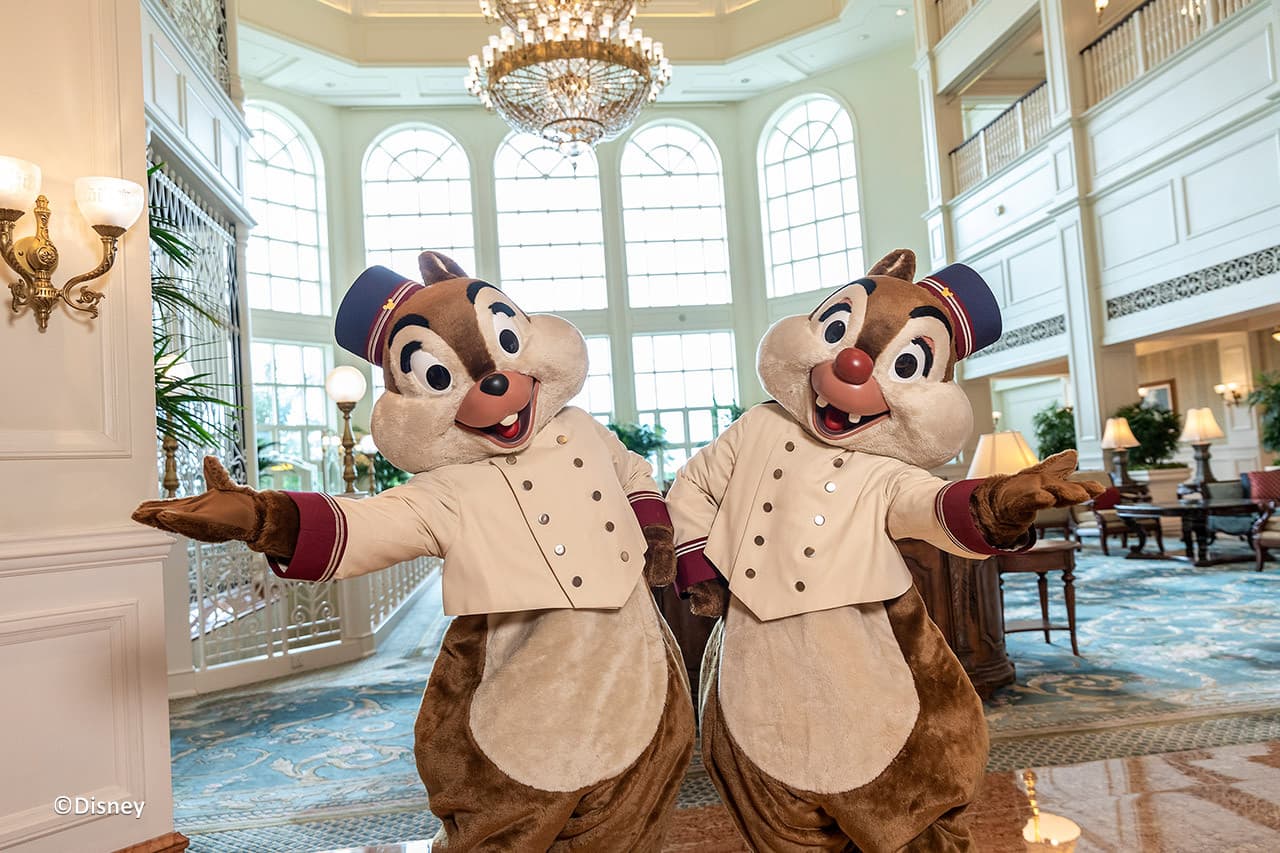Hong Kong Disneyland Disney Premier Access Ticket - სურათი 49