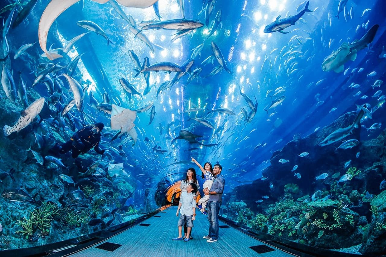 Go City Dubai Highlights Pass: Save up to 50% on Attractions - სურათი 11