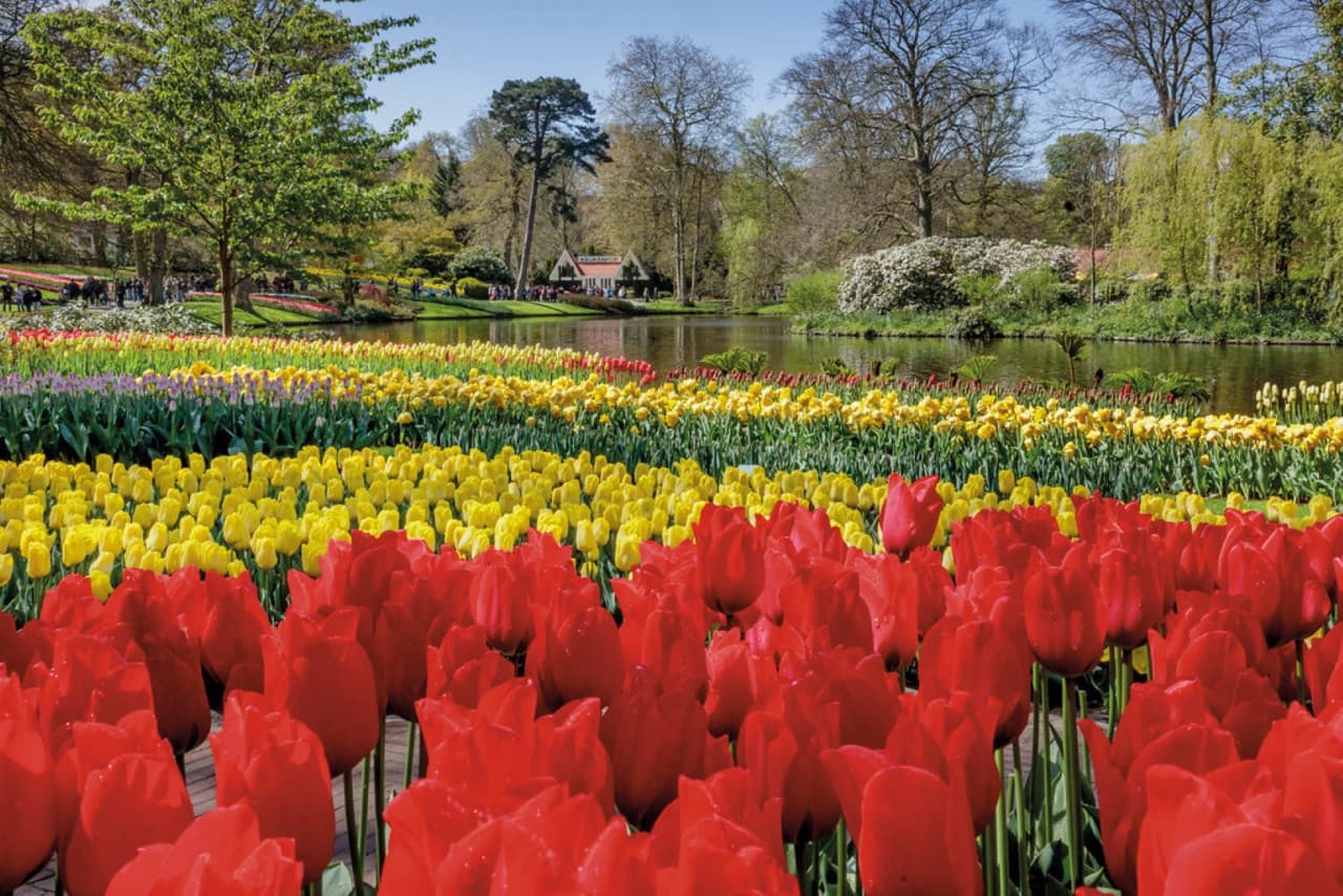 Keukenhof Gardens Ticket with Round Trip Bus Transfer from Amsterdam - სურათი 8