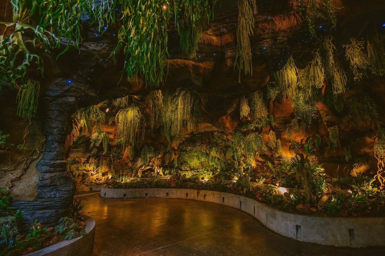 COMBO: Gardens by the Bay - Floral Fantasy + National Orchid Garden - სურათი 10