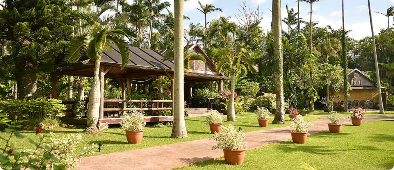Okinawa Southeast Botanical Gardens - სურათი 14